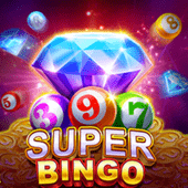 Super Bingo promotion game